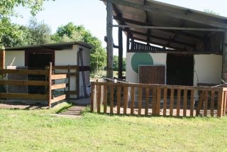  Los boxes 